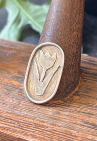 Image 1 of Tulip #1