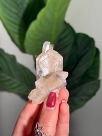 Image 1 of BOWTIE STILBITE X DIAMOND APOPHYLITE -INDIA- C