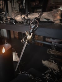 Image 4 of Coffin nail & vertebrae 