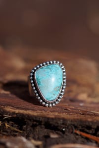 Image 5 of Old Stock Turquoise Butterfly Wide Band | Size 8.5