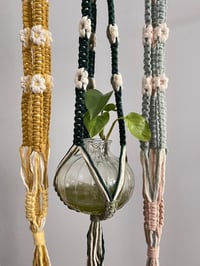 Image 3 of Daisy Plant Hangers