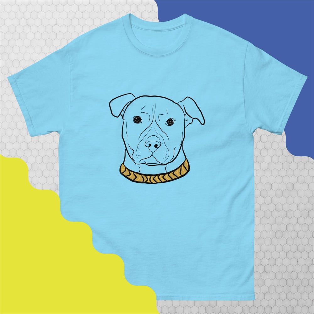 PITBULL LOVE 