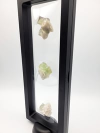 Image 8 of Set of 3 Octahedral YGX Fluorite & Candle Quartz with 9" Display - 4 Styles