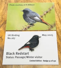 Image 1 of Black Redstart - No.167 - UK Birding Pins