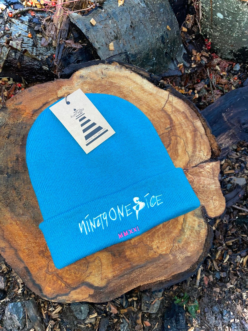 Image of Beanie Hat