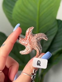 Image 17 of CHOOSE YOUR OWN MINI SOAPSTONE STARFISH