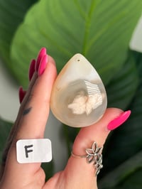 Image 6 of XL DRILLED FLOWER AGATE CABS