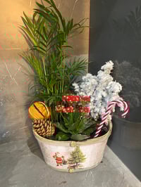 Image 7 of Christmas planter 