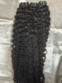Image 2 of Burmese Curly 
