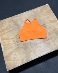 Image 1 of Sphere Collection Bra - (Sian) Orange