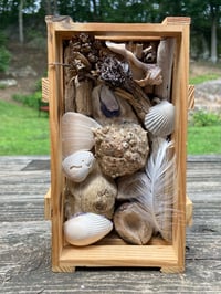 Image 5 of Beach Box #4