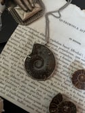 Amonite-pyrite fossile véritable enchâssé dans un cerclage en argent bas titre, vintage