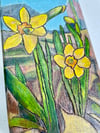 Daffodils 
