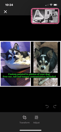 Image 10 of Custom Engraved Chihuahua Pet Urn Handpainted To Your Photos