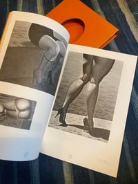 Image 6 of Yoshifumi Hayashi - La Jeune Mariee D'un Materialiste Enceinte De Cerveaux, 1994