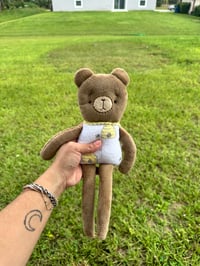 Image 2 of Honey Bear