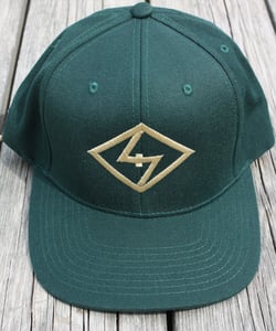 Image of FTS Diamond Snapback (Forest)