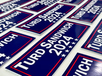 Image 2 of 2024 Election Bumpers 2x Pack