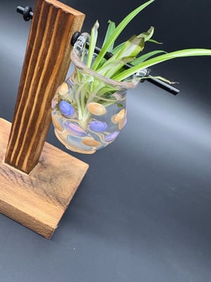 Image of Propagation set single #1