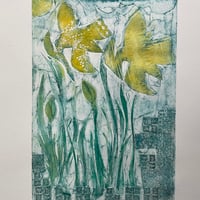Image 3 of Daffodils in February 