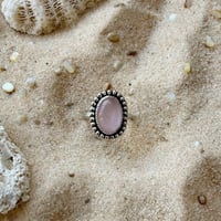Image 2 of Blushing Tide 