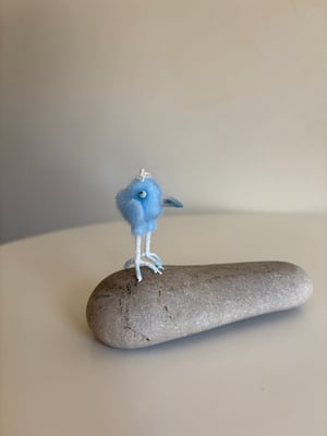 Image of Very Tiny Bluebird of Happiness #3