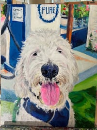 Image 5 of Dogs 