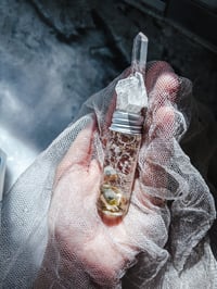 Image 2 of 3/3 payment reserved !! Newborn Parakeet  