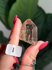 Image 10 of CHOOSE YOUR OWN MINI RUTILE SMOKEY QUARTZ POINTS (NATURAL UNPOLISHED POINTS) -BRAZIL- LOT 2