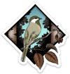 Vinyl Sticker // Alaska Birds - Chickadee