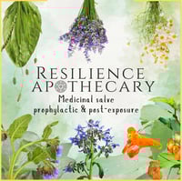 Image 1 of Medicinal Herbal Infused Salve