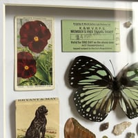 Image 5 of trinket frame #1