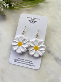 Image 2 of  Natural Daisies 
