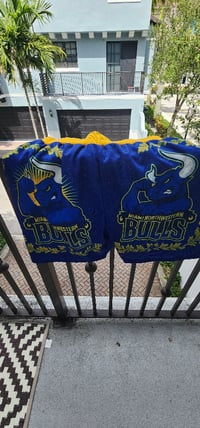 Image 2 of NEW DOUBLE BULL 