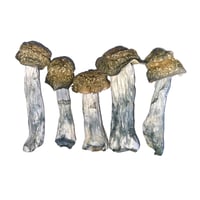 Image 3 of 🦍 FULL METAL APE 3.5G