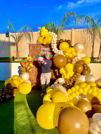 Image 2 of MegaShine Balloon Inflator