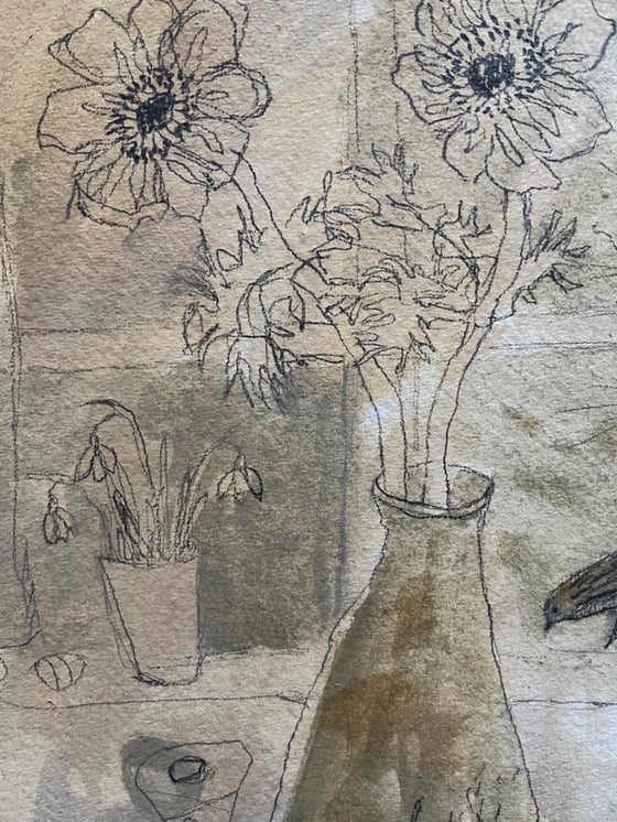 Image of Windowsill anemones 