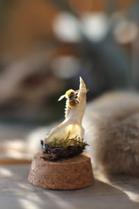 Image 3 of Campana con mandibola di coniglio selvatico