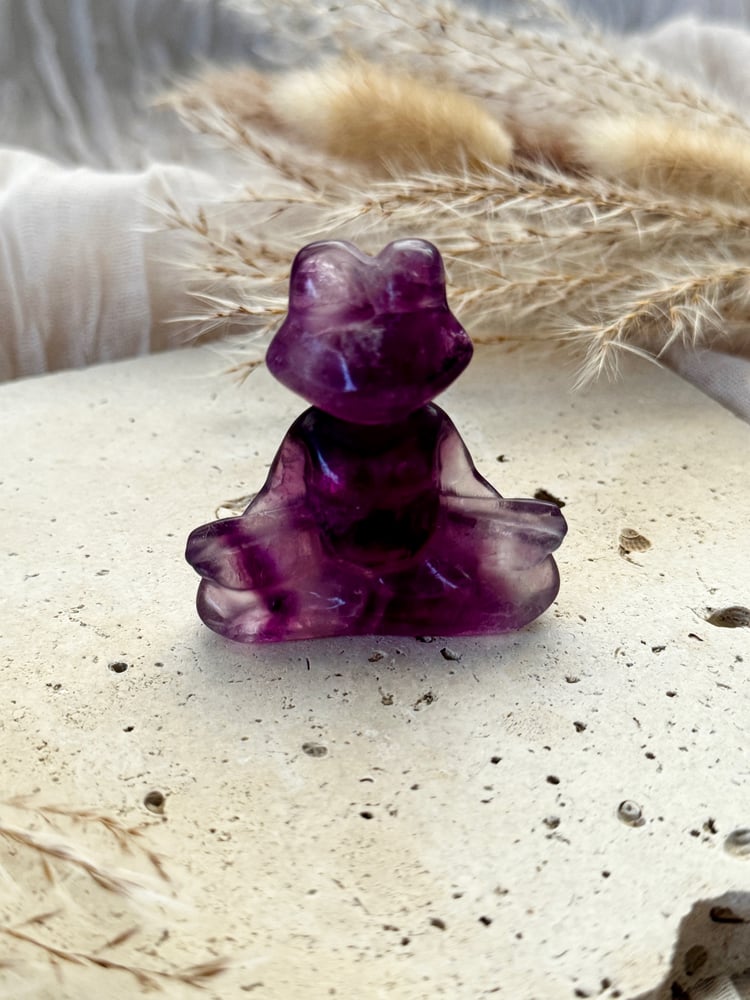 Image of Fluorite Frog Carving 