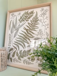 Botanical Framed Print 