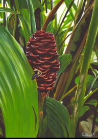 Image 2 of Ginger Flower