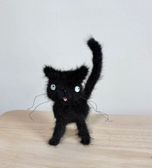 Image of Tiny Alley Cat #6