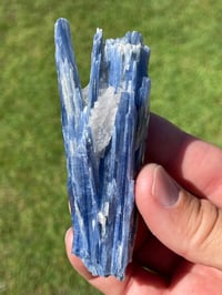 Image 2 of Blue Kyanite & Quartz Specimen #1897