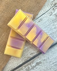 Image 2 of Alien scented snap bar