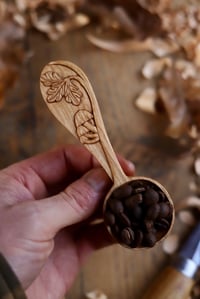 Image 8 of Oak and Mushroom-Coffee Scoop