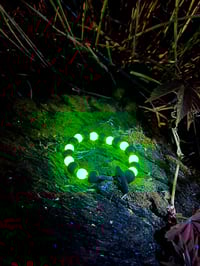 Image 1 of Uranium Glass and Bog oak beads