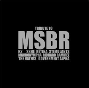Image of V.A. - Tribute To MSBR LP