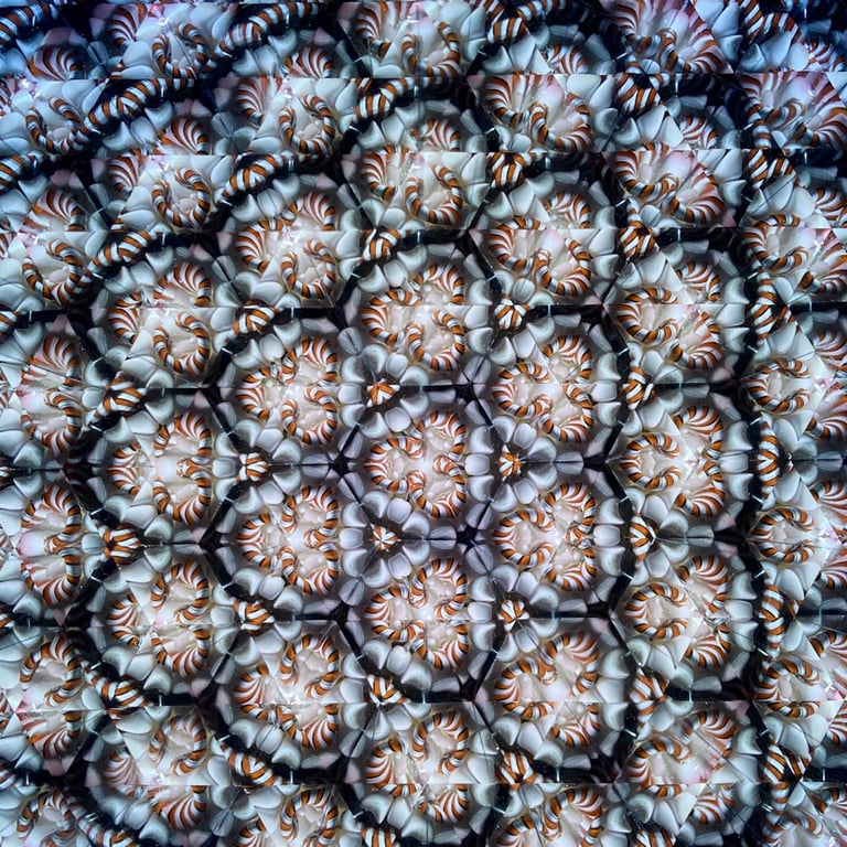 Paradigm Shift Image 19