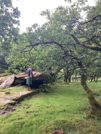 Image 15 of Craft Mentorship Immersion