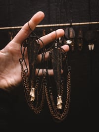 Image 2 of Birch Forest